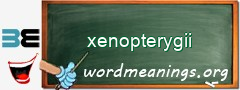 WordMeaning blackboard for xenopterygii